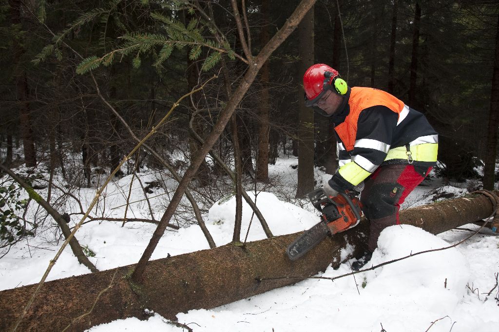 Holzerkurs Feuerwehr 