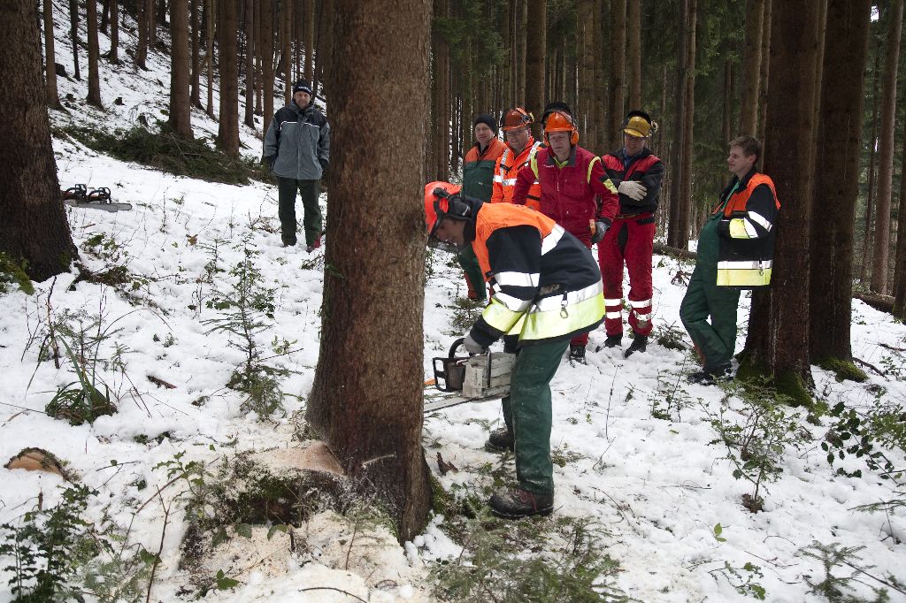 Holzerkurs Feuerwehr 