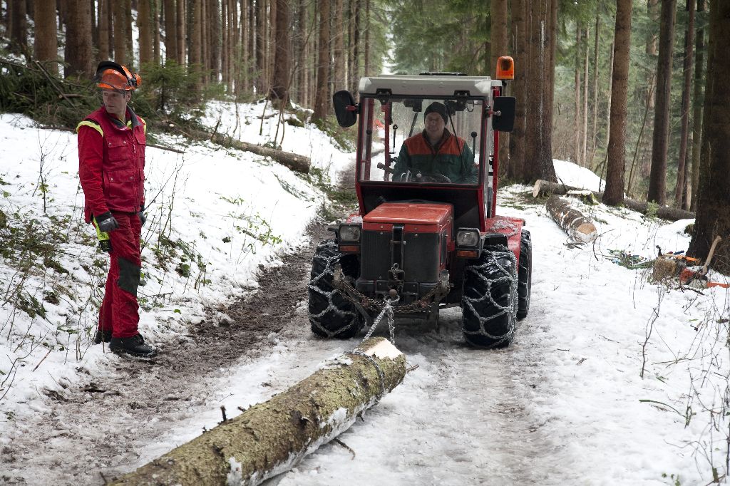 Holzerkurs Feuerwehr 